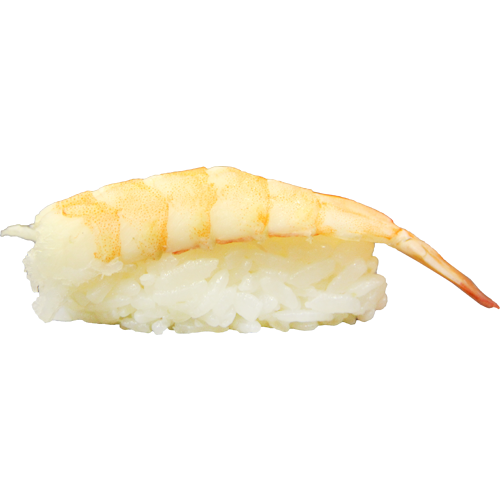 Nigiri ebi